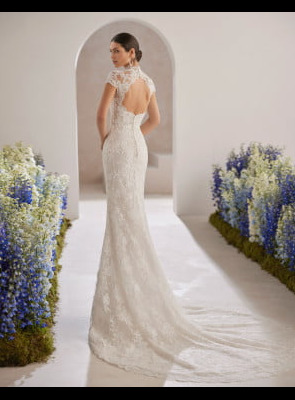 backless lace, fitted wedding dress